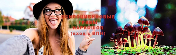 марки lsd Гусиноозёрск