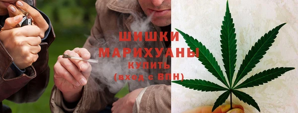 марки lsd Гусиноозёрск