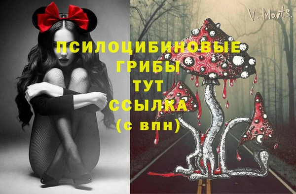 мефедрон мука Гусь-Хрустальный