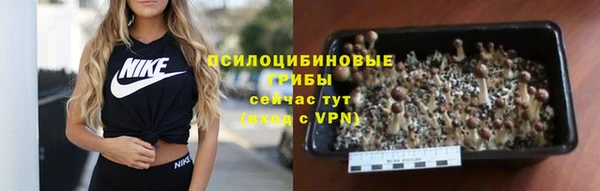 mdma Гусев