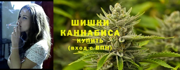 марки lsd Гусиноозёрск