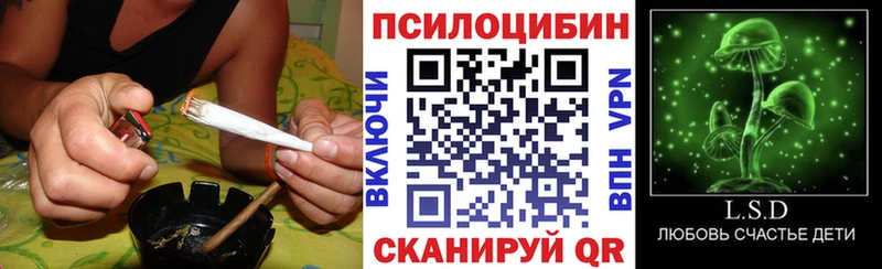 Купить  Кинель  Галлюциногенные грибы ЛСД 
